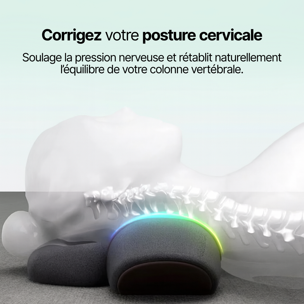 Flexio Pro + Ebook Offert