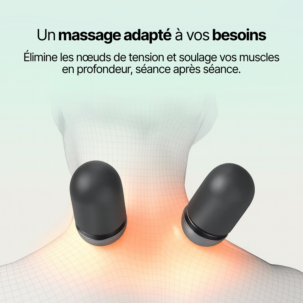 Flexio Pro + Ebook Offert