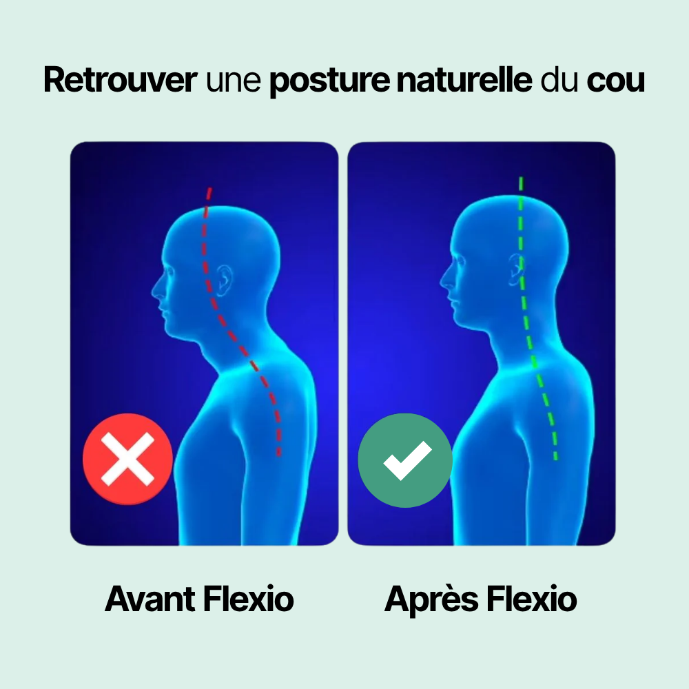 Flexio Pro + Ebook Offert