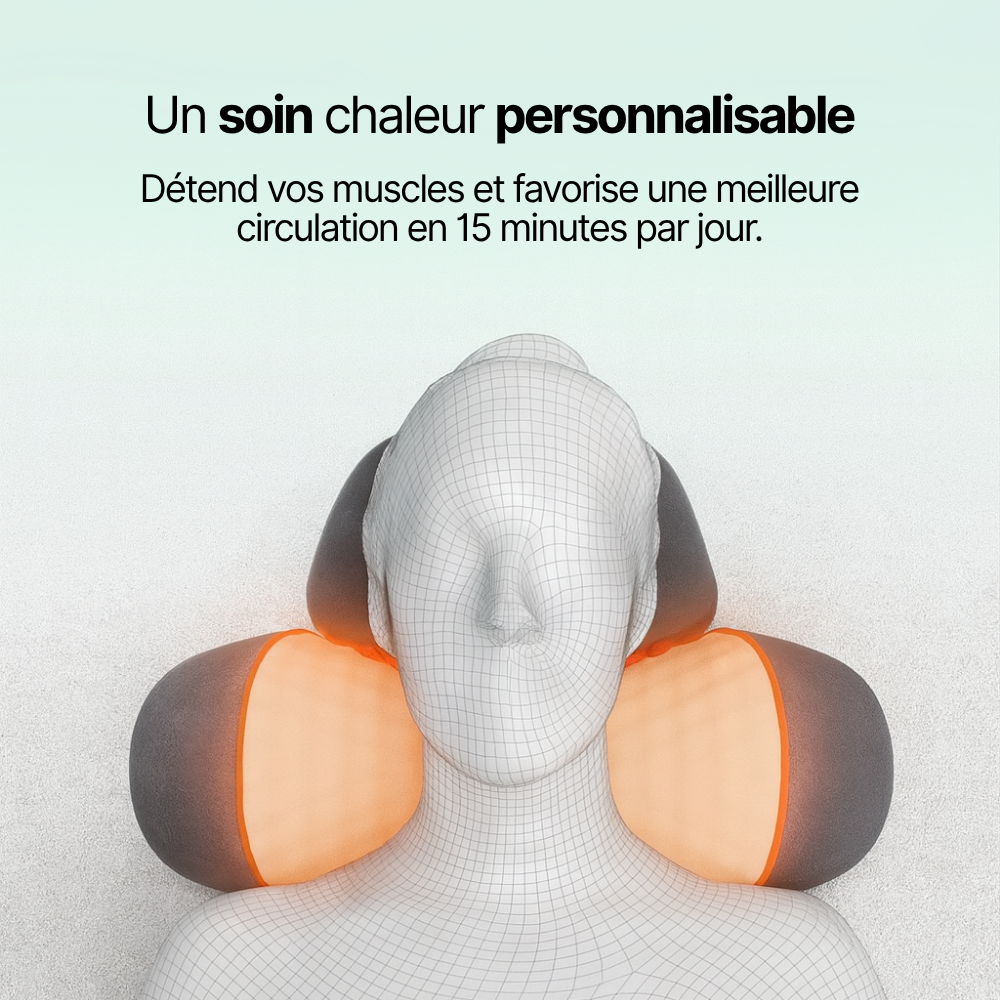 Flexio Pro + Ebook Offert